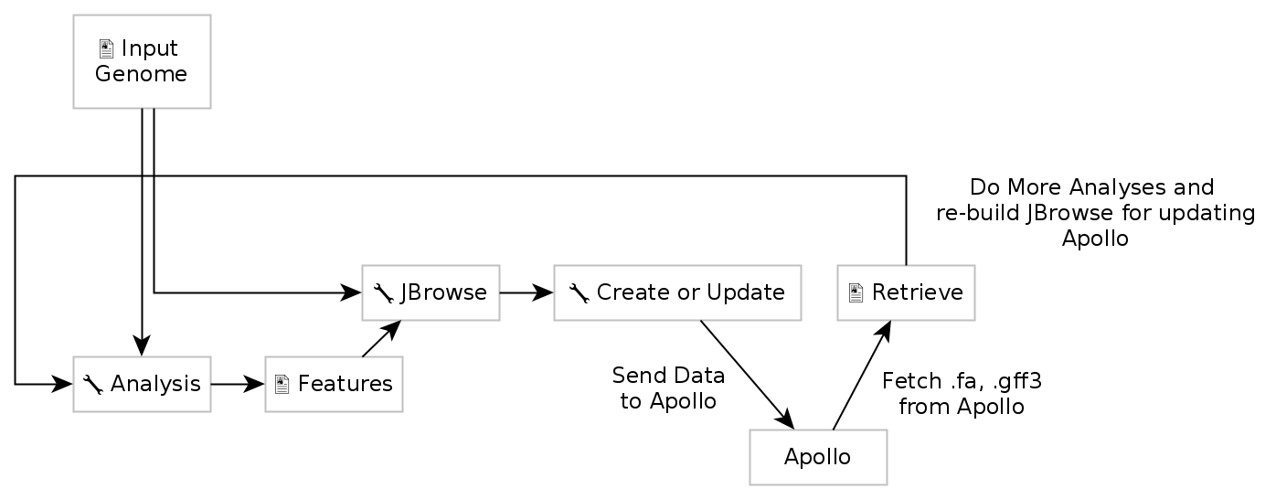 ../_images/apollo-jbrowse-workflow.png