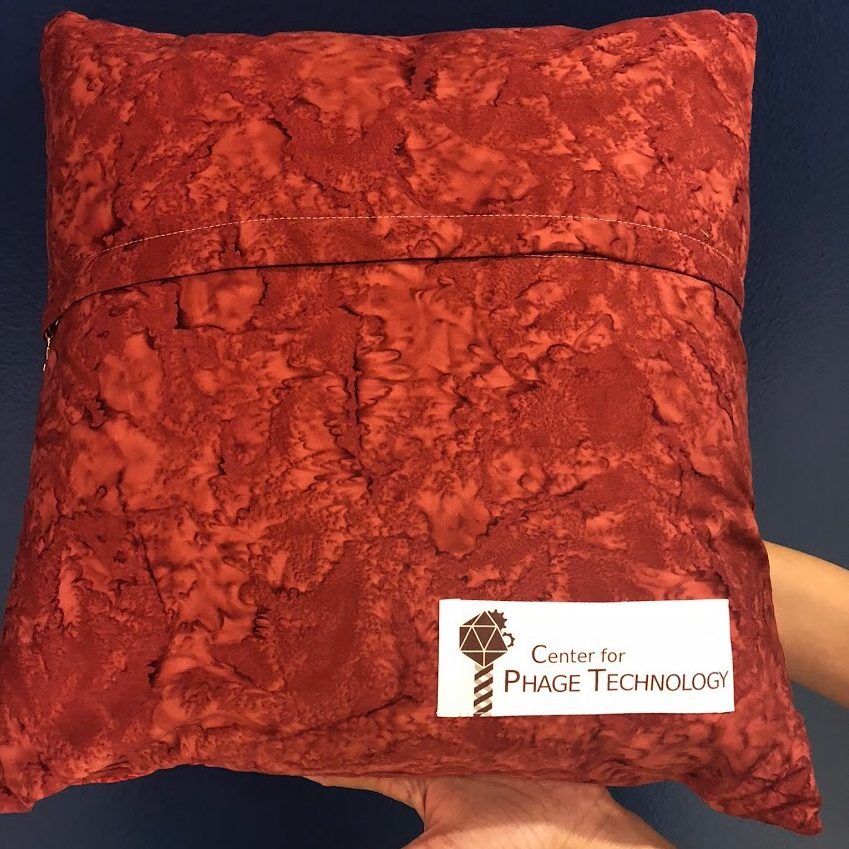 Reverse side of pillow covers with the CPT logo